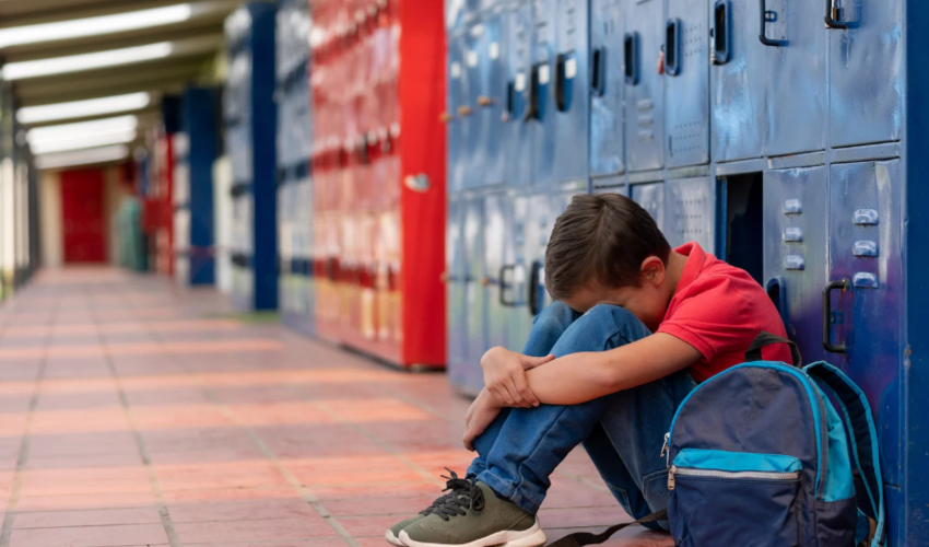 Understanding Behaviours of Concern and Responding to Crisis Situations Guidelines for Schools in Supporting Students